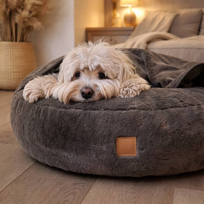 Hundehöhle_taupe_Hund