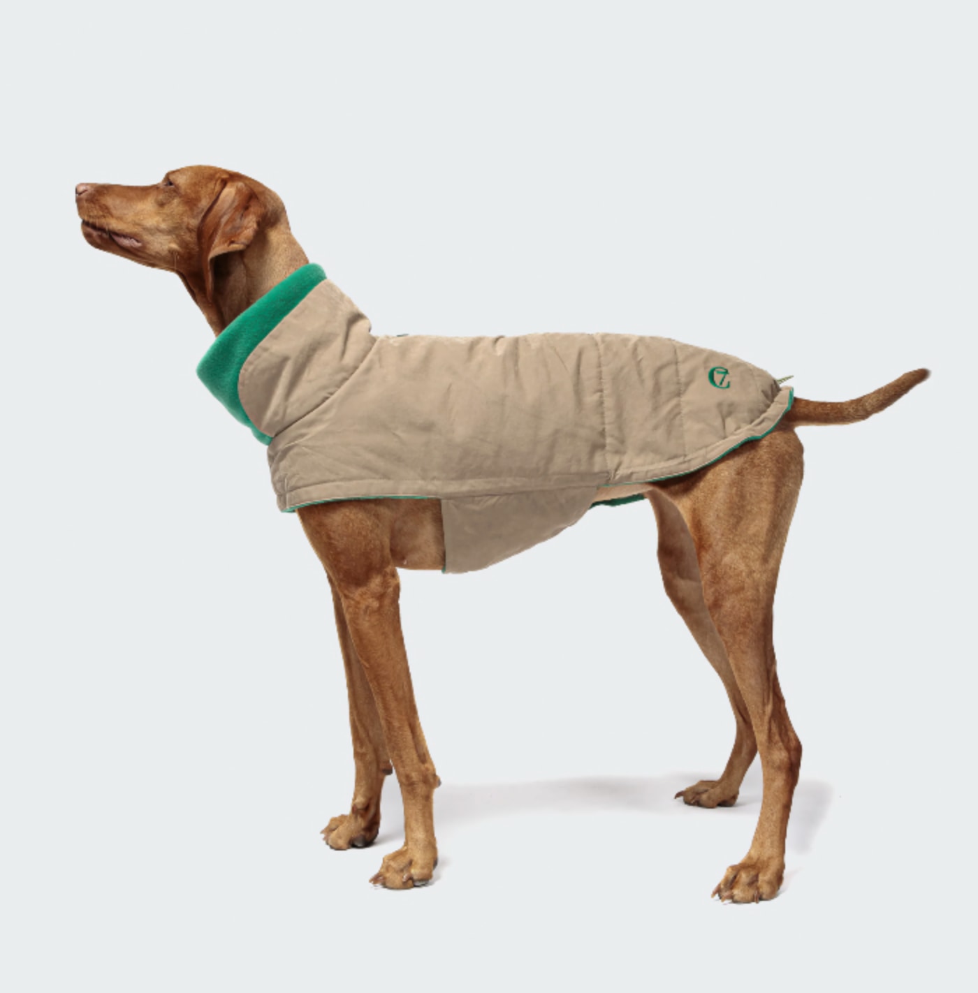 Hundemantel waxed cotton sand_dog