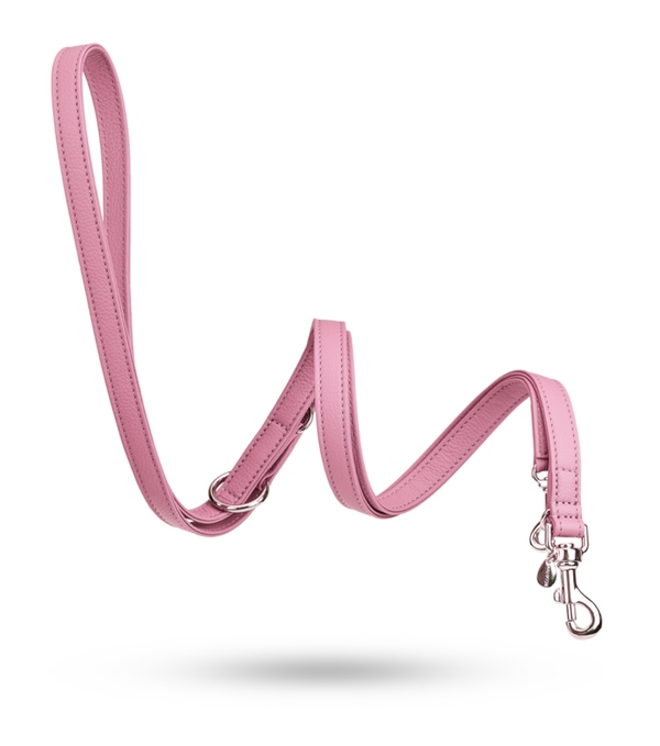 verstellbare Hundeleine Movie rose matter