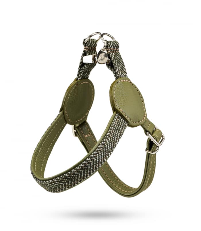 Hundegeschirr_zigzag_green