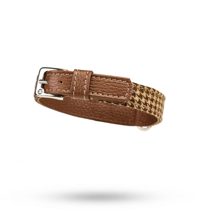 Hundehalsband Winter 60