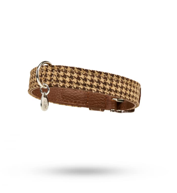 Hundehalsband Winter 60_2