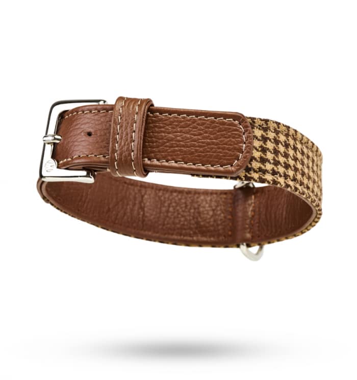 Hundehalsband Winter 60_3