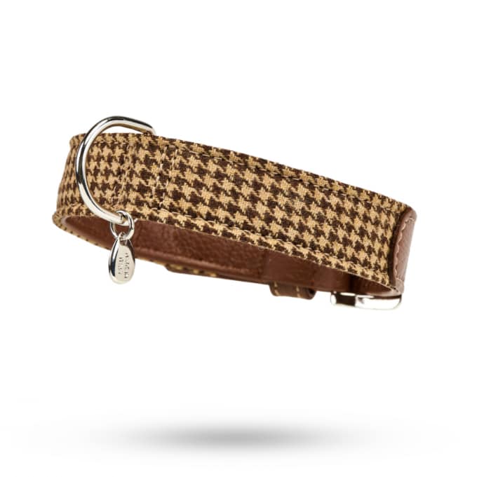 Hundehalsband Winter 60_4