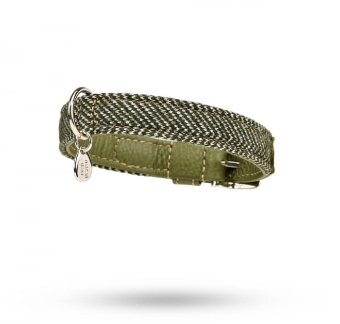 Hundehalsband_zigzag_2cm_2
