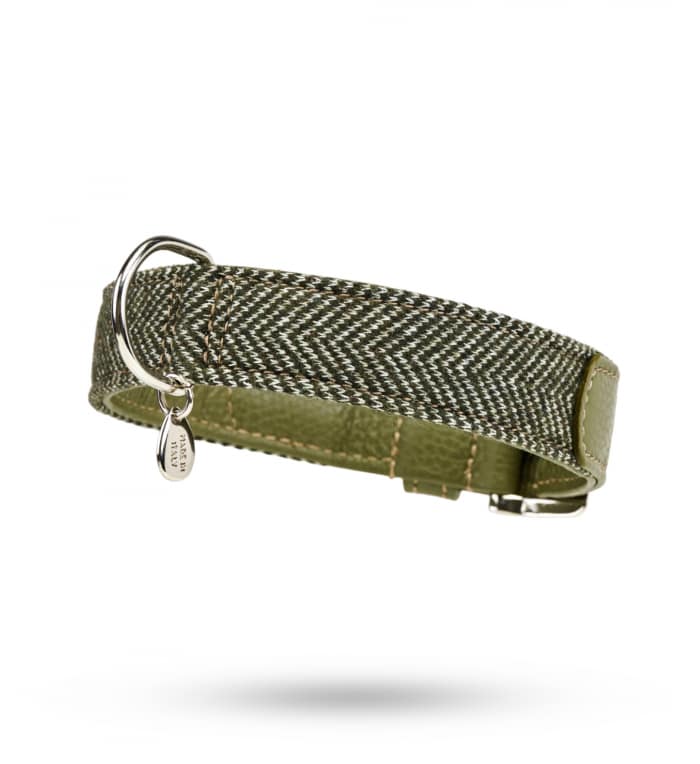 Hundehalsband_zigzag_3cm_2