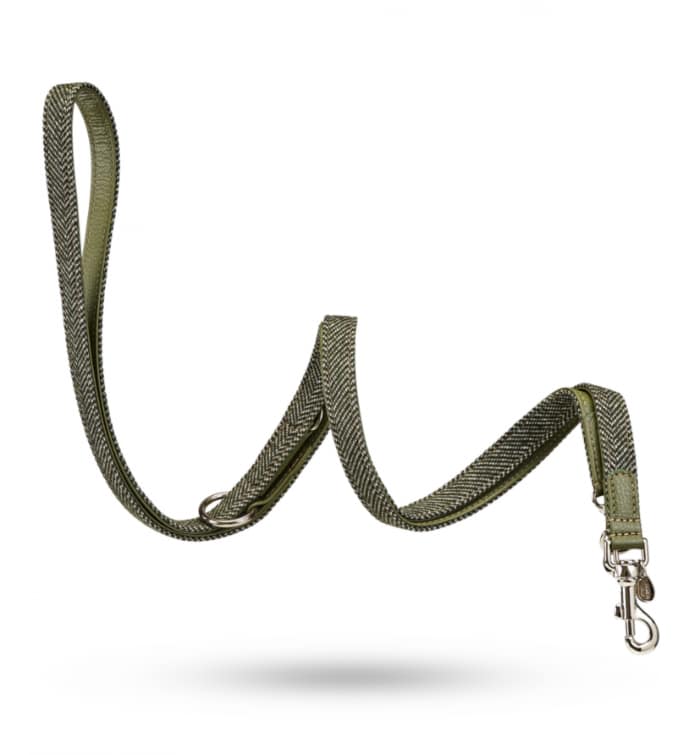 Verstellbare Hundeleine zig zag